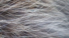 Фігура на вовни кішки