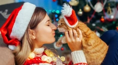 З новим роком, кішка! 14 новорічні подарунки для котів