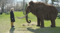 Ласкаво просимо: 10 вимерлих тварин, які незабаром можуть повернутися