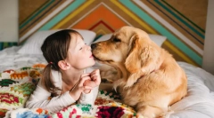 Найбільш ласкаві породи собак у світі