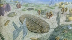 Перші тварини