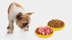 Найпопулярніша їжа для собак 2019 - pedigri: колекція макіяжу та відгуки