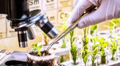 Вибір, його завдання, методи та практичне значення