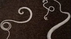 Симптоми та лікування інфекції потужністю