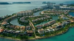 Сінгапур: функції породи та правила контенту