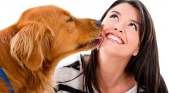 Собака і людина