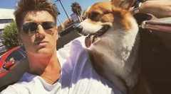 Яка порода завоювала серце олексій воробйова?