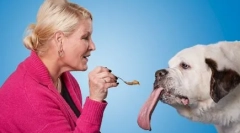 Собака з найдовшою мовою у світі