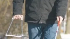 Спеціалізація собак