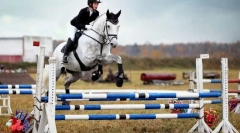 Спортсмени, художники, рятувальники