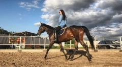 Методи руху коня