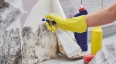 Інструменти для видалення прес-форми (грибковий грибок)