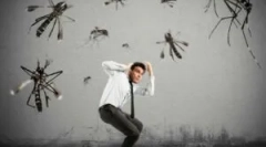 Коштовні кошти