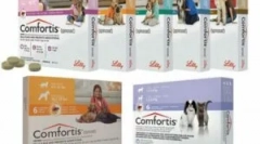 Таблетки зручні для котів і собак