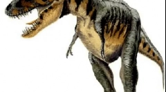 Таротичний