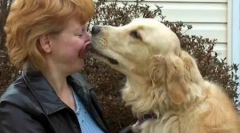 Топ-10 найбільш сміливих тварин