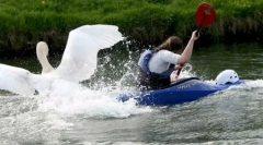 Топ-10: шокуючі небезпечні тварини