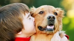 Топ 10 речей, які ненавидять собак