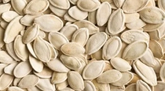 Топ-10 тварин, які бояться жінок