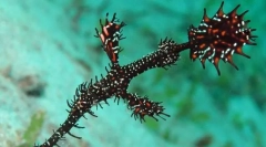 Вантажоперевезений трав'яний