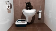 Кішки туалети закриті: виберіть комфорт для тварин і прибирання для дому