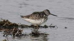 Охотська вулиця