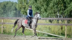 Уроки верхової їзди для початківців