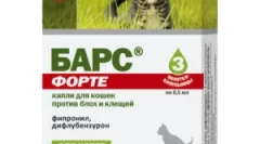 Авро падає бар для кішок