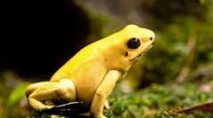 Жахливий відпочинок