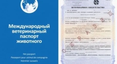 На дорозі з собакою: найкращі породи для подорожей