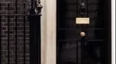 В яких країни кішки є однорідними і складаються в експлуатації