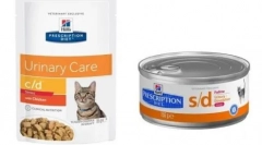 Кот-ветеринарний канал: особливості та різновиди