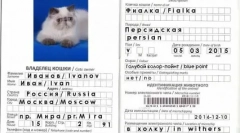 Ветеринарний паспорт для cat: дизайн документів нюанси