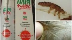 Типи та застосування фондів steam plus від вошей