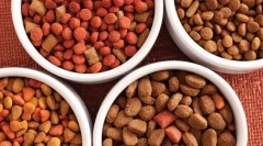 Види сухої їжі