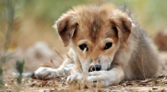 Вікові періоди розвитку