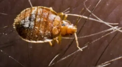 Шкода та небезпеки, що виходить з помилок