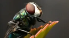 Все про те, де летить з дому