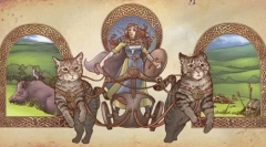 Все про європейську короткошерсту кішку