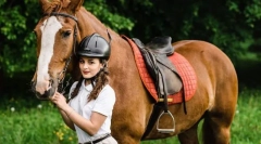 Підбір стайних, тренерів і коней