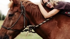 Людська взаємодія та кінь