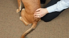 Захворювання хребта