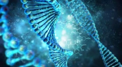 Закони спадковості