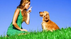 Заборона команди