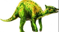 Зааргулофус