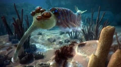 Тварини кембрія