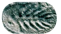 Тварини vennndian