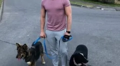 Зірки показують бізнес, які допомагають бездомним тваринам